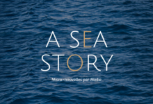 Des histoires à la mer : Sea Stories Project